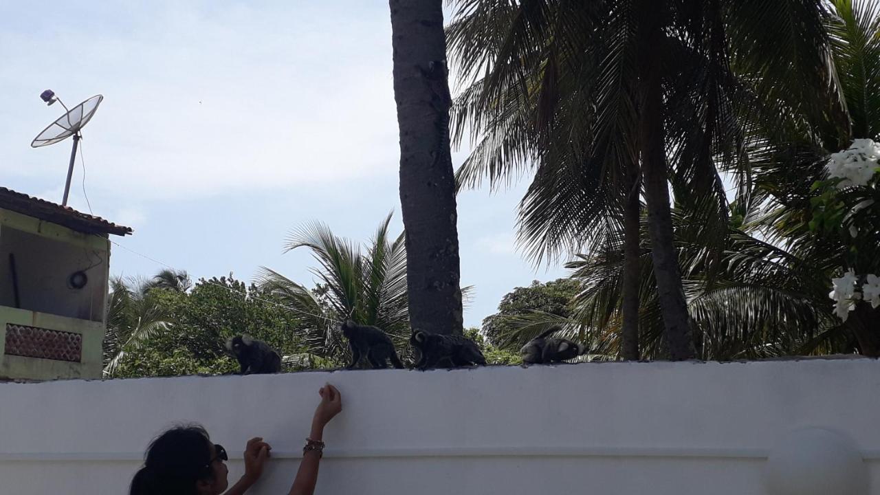 Pousada Caribe Nordestino Tamandaré المظهر الخارجي الصورة