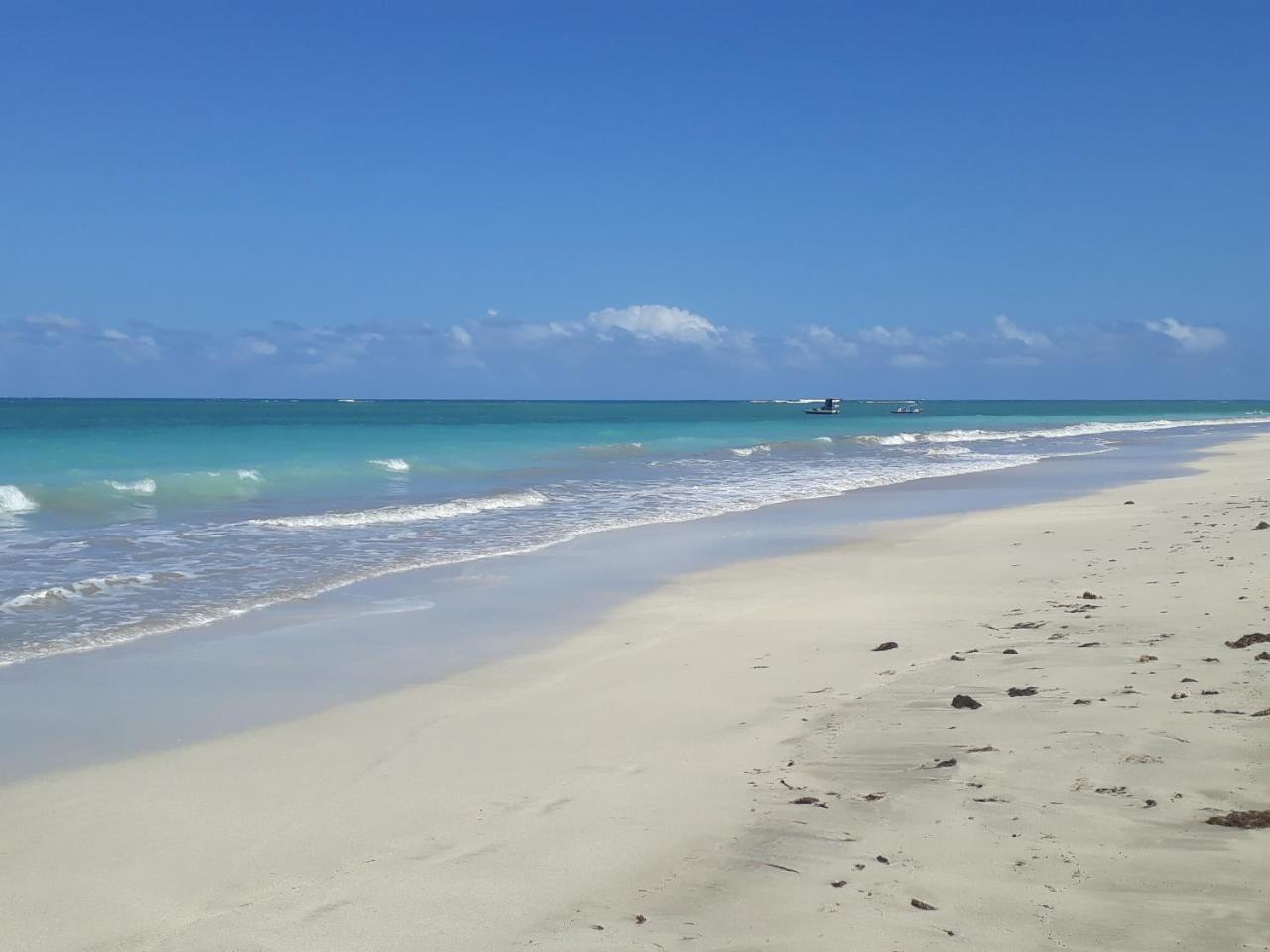 Pousada Caribe Nordestino Tamandaré المظهر الخارجي الصورة