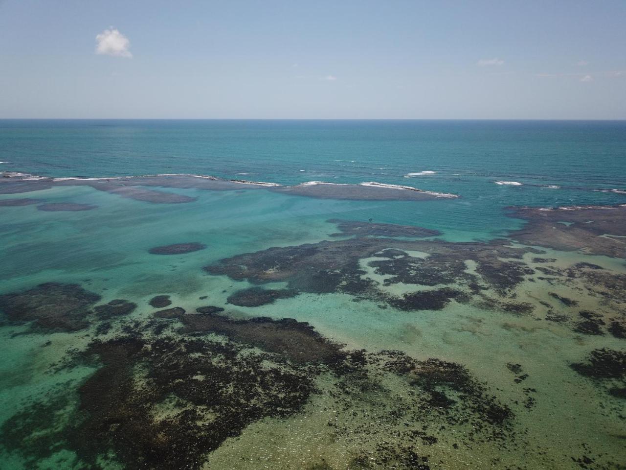 Pousada Caribe Nordestino Tamandaré المظهر الخارجي الصورة